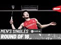 KFF Singapore Badminton Open 2024 | Li Shi Feng (CHN) [6] vs. Lee Cheuk Yiu (HKG) | R16
