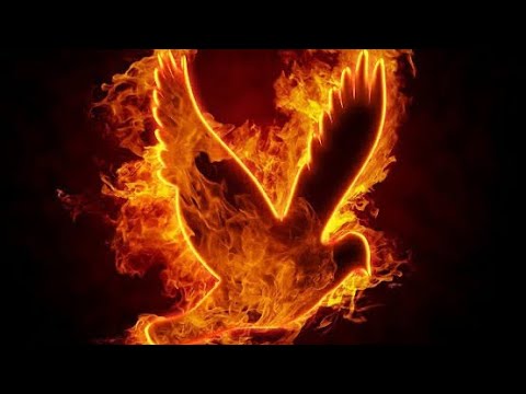 ONDE ESTÁ O FOGO - Voz de muitas águas