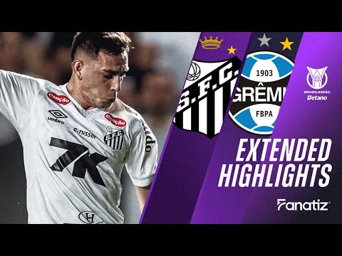 Santos vs. Gremio 1-1 | Game Highlights | #Brasileirao2025
