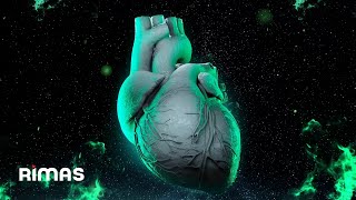 Amor Tóxico Music Video