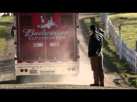 2013 Budweiser Super Bowl Ad — The Clydesdales  Brotherhood