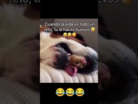 LA VIDA ES UN RIESGO😂 #viralshort