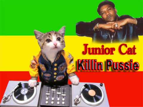 Junior Cat- Killin Pussie