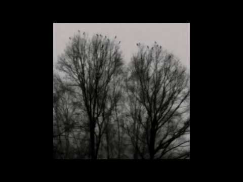 The Hanged King's Tragedy (An SCP-701 Interpretation)