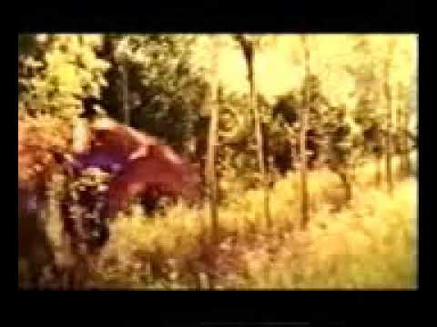 Pakistani song punjabi