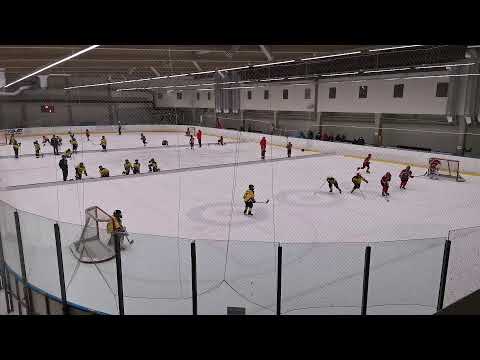 Sport Panthers - Kraft Blå