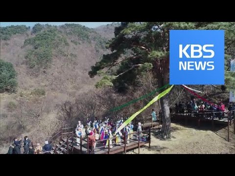 Local Ritual / KBS뉴스(News)