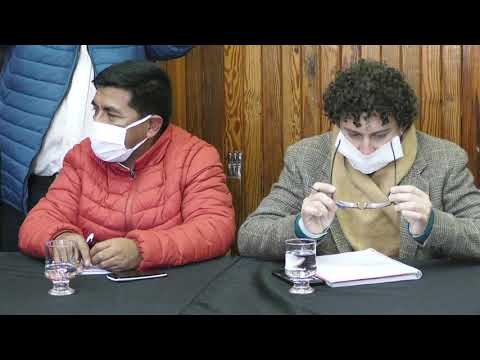 Dib Ashur brindó un panorama de la situación econonómica salteña ante senadores provinciales