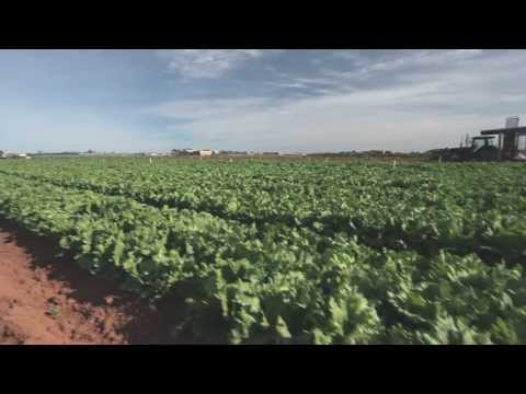 Integrated Pest Management