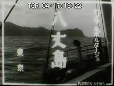 「カメラルポルタージュ &ldquo;八丈島&rdquo;」No.CFNH(G)-0284_1