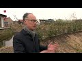 Oosterwold in Almere is minder tot buurtschap ontwikkeld dan verwacht