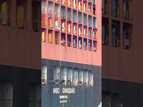 Thumbnail for ⚓ Container ship (MSC Qingdao) 🚢 #explore