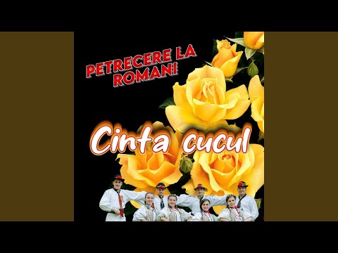 Fata mamei ce vrei tu