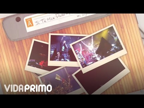 Providencia - Si Te Hice Daño [Lyric Video]