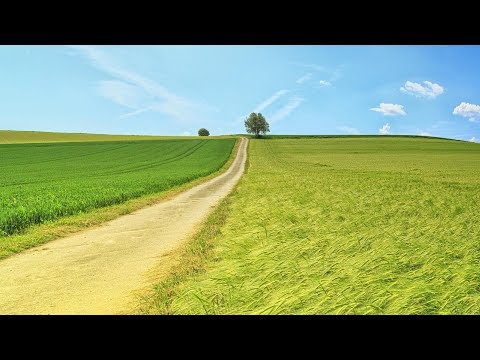 Vom Landleben (Alemannische Gedichte)