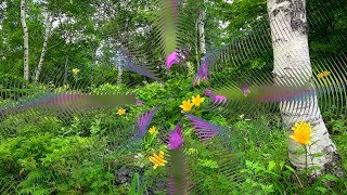 The Park - Uriah Heep