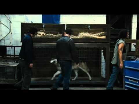 Трейлер Контрабанда