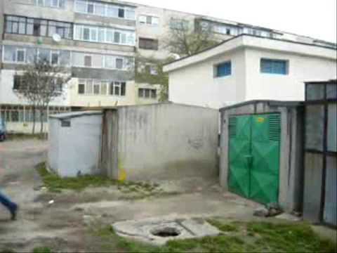 Ferese Sampler 2009 Braila