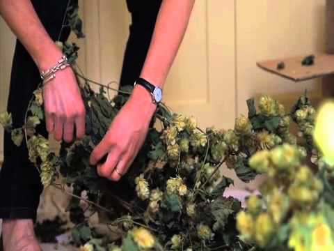 download lagu mp3 mp4 Decorative Hops, download lagu Decorative Hops gratis, unduh video klip Decorative Hops