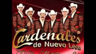 Cardenales De Nuevo.Leon - Pa Que Nos Dejan Solos