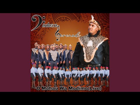 O Mohau Wa Modimo (Live)