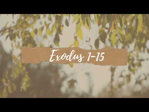Exodus 1-15: The Birth of Moses, Let My People Go, & Crossing the Red Sea