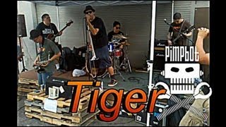 Pimpbot- Tiger (Live)