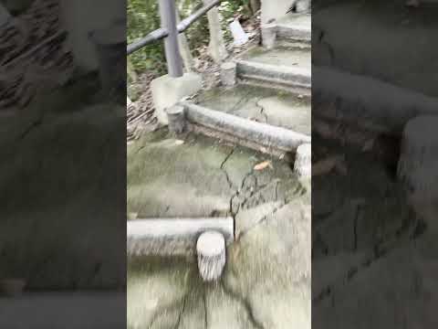 See Kobe U - 階段 / Stairs