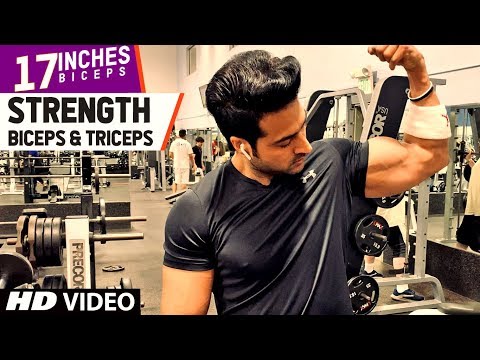 Strength - Biceps & Triceps (17 INCHES) program by Guru Mann