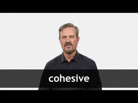 COHESIVE definition in American English