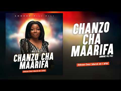 Amnobe Pili Pili - Chanzo Cha Maarifa ( Official Audio )