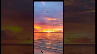 Download lagu Story wa 30 detik senja sore hari #sunset #sunrise #senja #indie mp3
