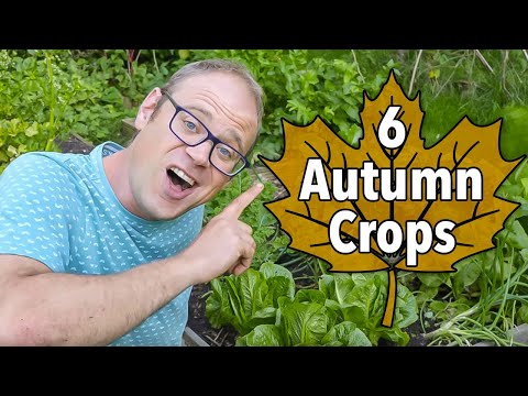 6 Must-Grow Crops to Sow this Autumn