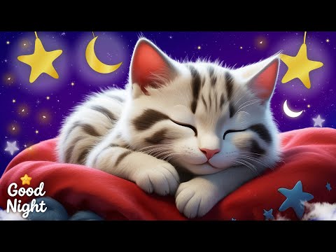 Relax In No Time video