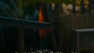 Download lagu Status wa kekinian || story wa viral merokok mp3