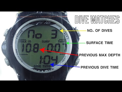 Rob Allen | Dive Watches | 2022