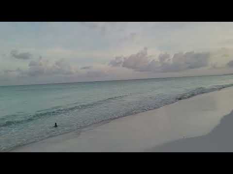morning walk on beach