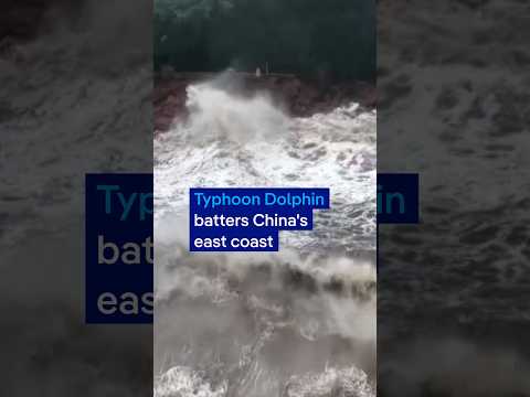Typhoon Dolphin slams China's east coast, forcing mass evacuations