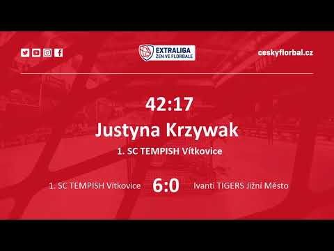 Sestřih zápasu 1. SC TEMPISH VÍTKOVICE : IANTI TIGERS JIŽNÍ MĚSTO 7:2
