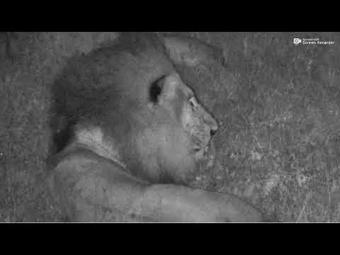 Birmingham Boys Djuma Dam March 24 2018