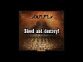 SOULFLY - TOUCHING THE VOID (Lyric Video)