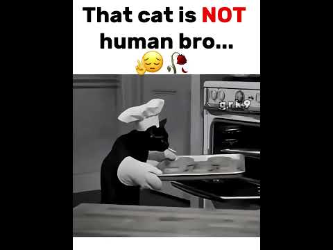 #naofloppa