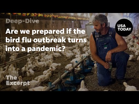 Are we ready for a bird flu pandemic? | The Excerpt