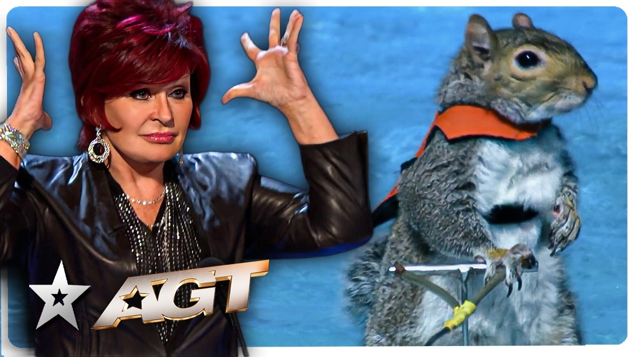 What The Hell?! Most Unexpected Auditions EVER on America's Got Talent!