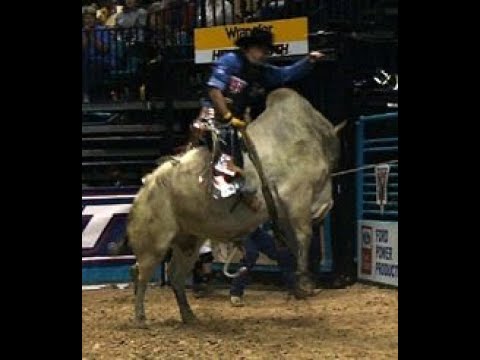 Honker bucks Norman Curry - 98 PBR Finals