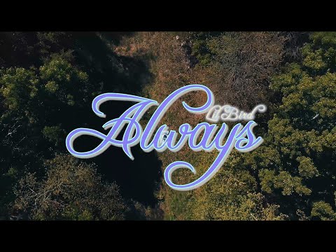 Lil Bird - Always (Official Audio)