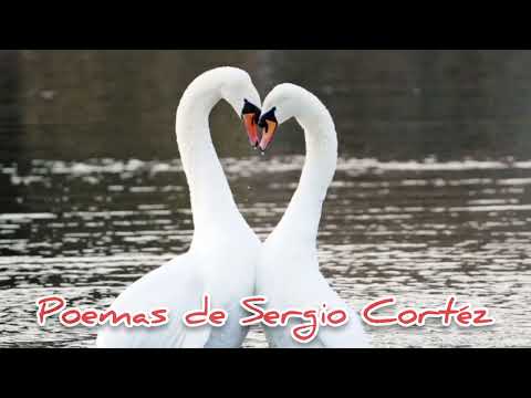 CISNES | Poema de Sergio Cortéz | Videopoema Musical