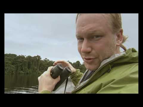 Manatees & Sloths in Costa Rica- In the Midst of Nature S3E2 Swedish Public TV [Mitt i naturen STV]