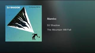DjShadow- Mambo