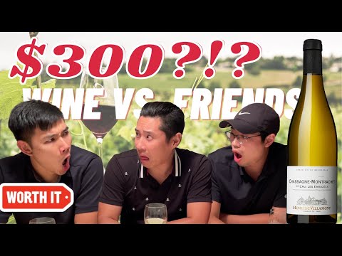 Does More Expensive Wine Taste Better? Cheap vs Expensive White Wines